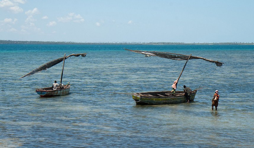 Dhow boat experience